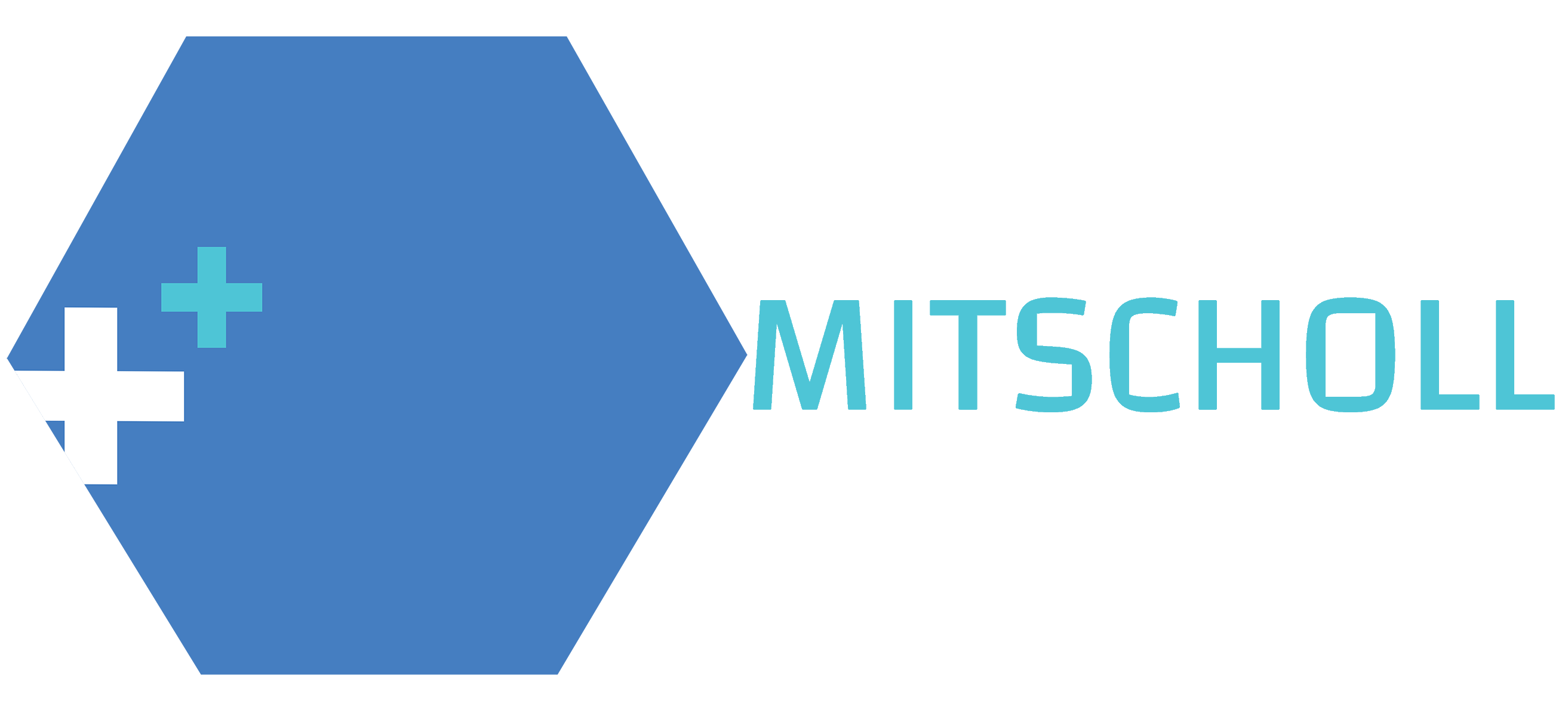 Mitscholl Logo